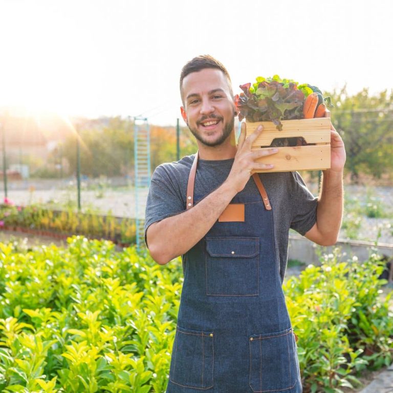 Boreal Bites Food Company Need Workers