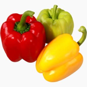 Boreal Bites Foods Bell Pepper