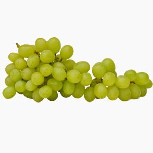 Boreal Bites Foods Grapes